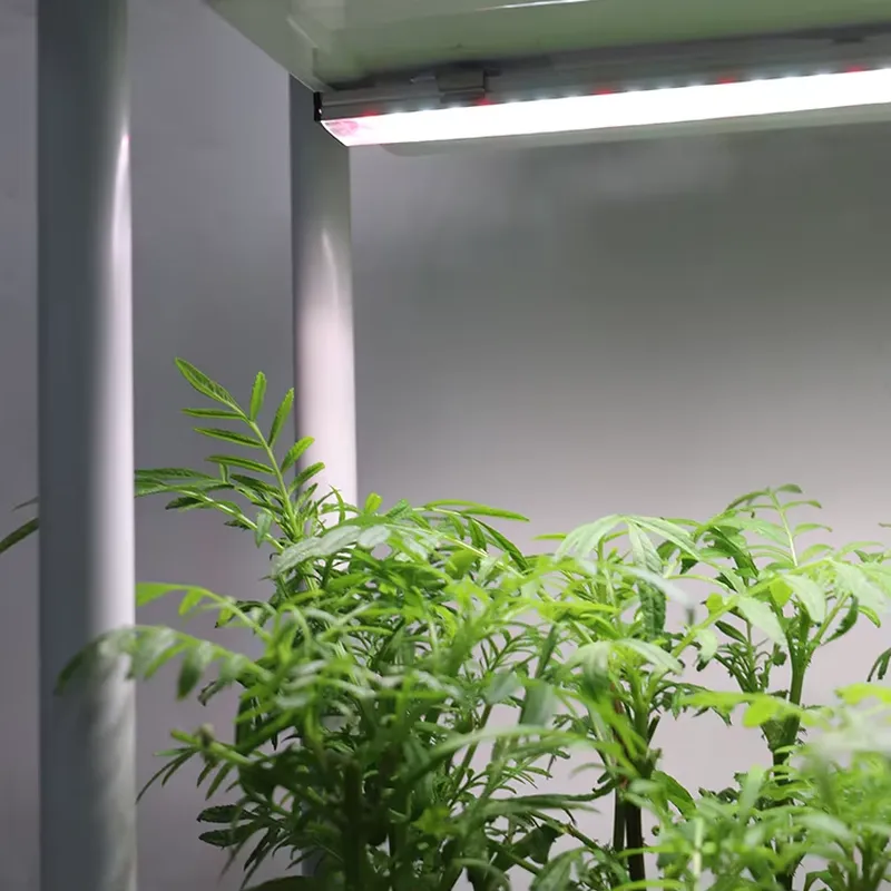 Smart Garden System - Rak Tanaman Vertikal 3 Tingkat yang