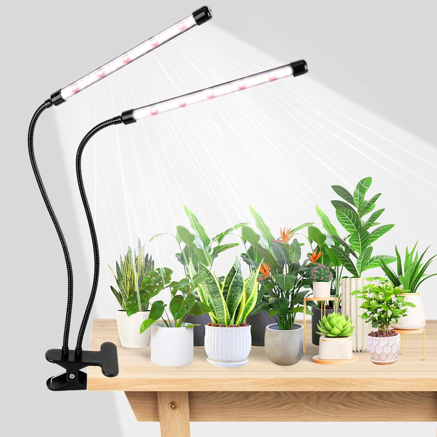 Hydroponic Grow Pod - KEBINCPLED Lampu LED Pencahayaan Tanaman dengan