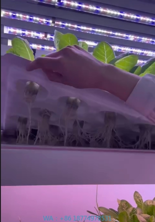 Hydroponic Tower - Peralatan Pertanian Rumah Kaca Menanam Jamur