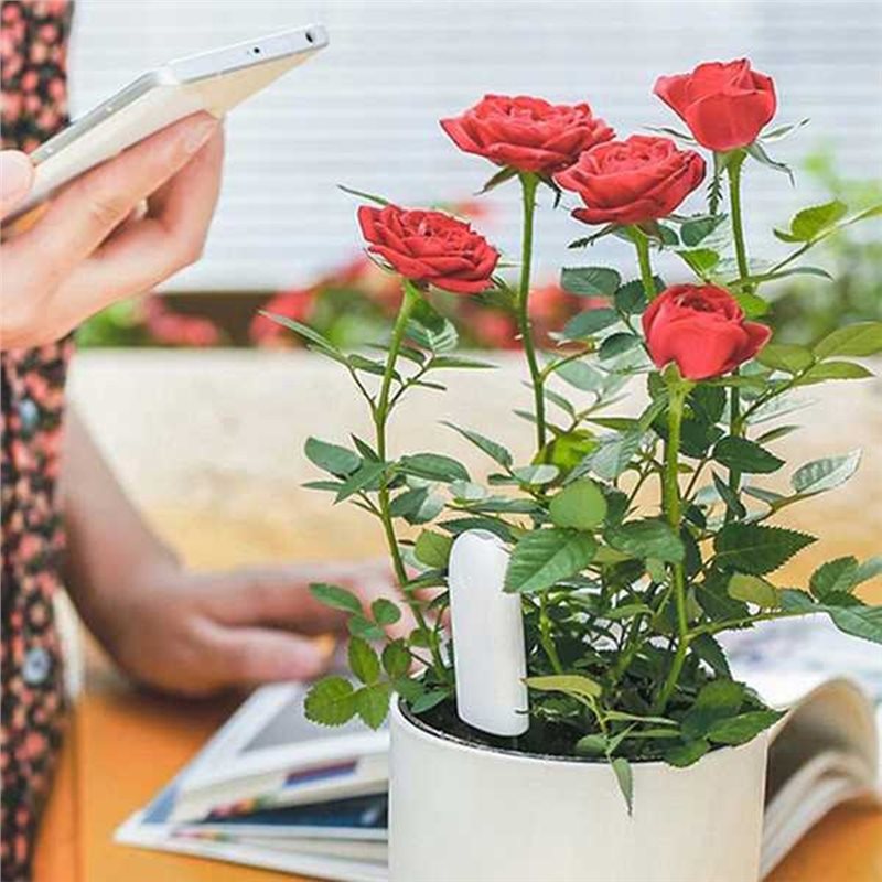 Plant Monitor - ABVG-Flora, Alat Pemantau Kebun Cerdas untuk