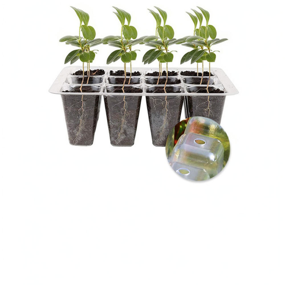 Indoor Garden Kit - Paket Peralatan Awal untuk Lampu Pertumbuhan