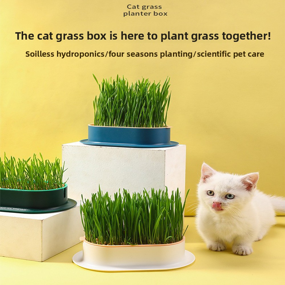 Hydroponic Grow Pod - Persediaan Hewan Peliharaan Makanan Ringan Kucing