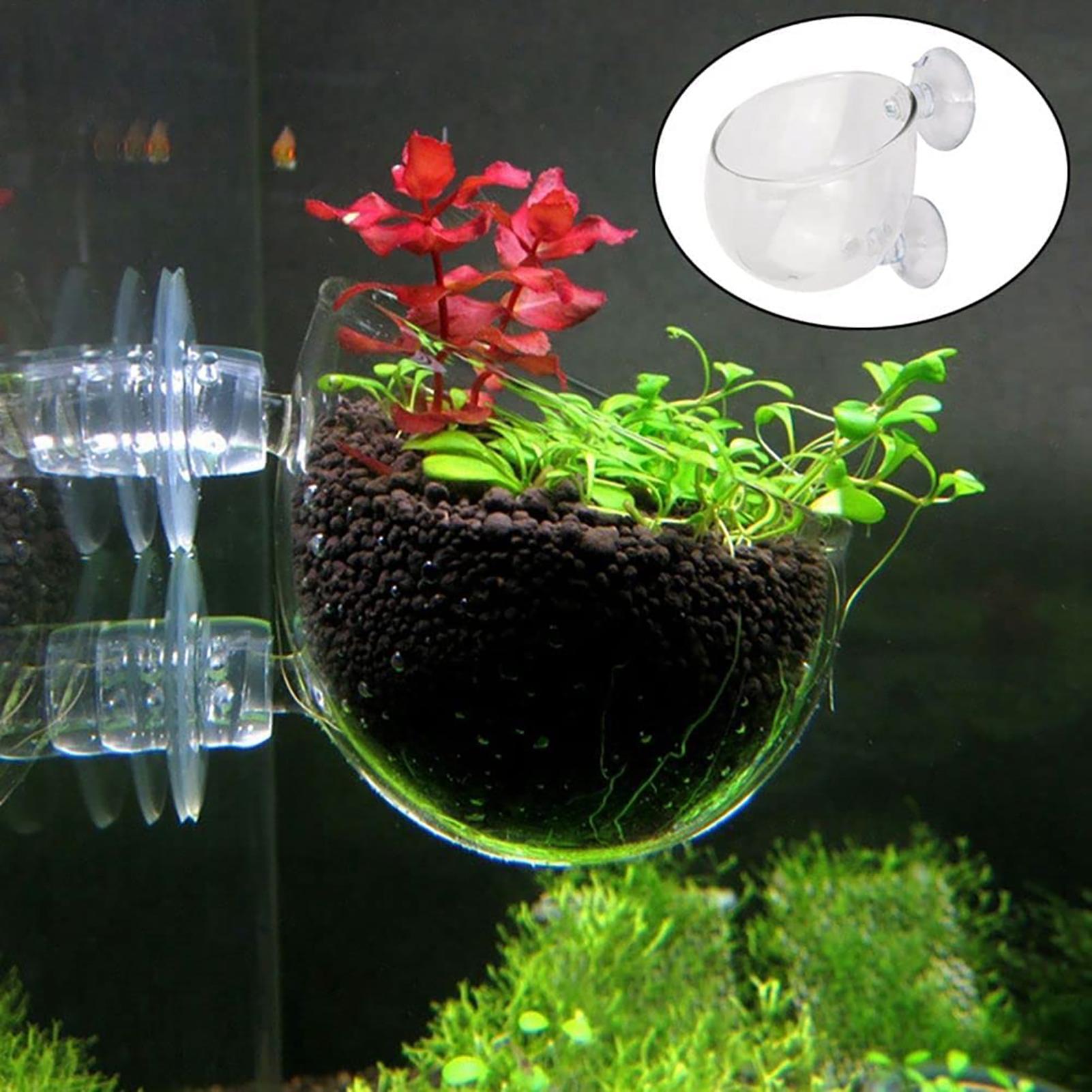 Hydroponic Grow Pod - Pot Tanaman Air Akrilik Bening dengan