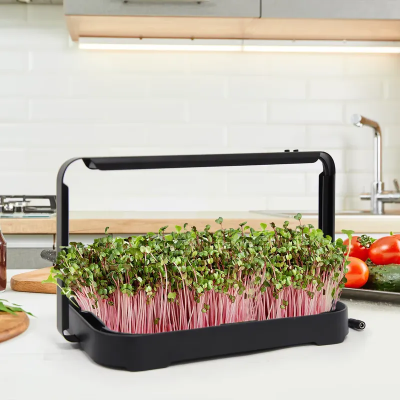 Indoor Garden Kit - Baki Hidroponik untuk Tanaman Mikro Dalam