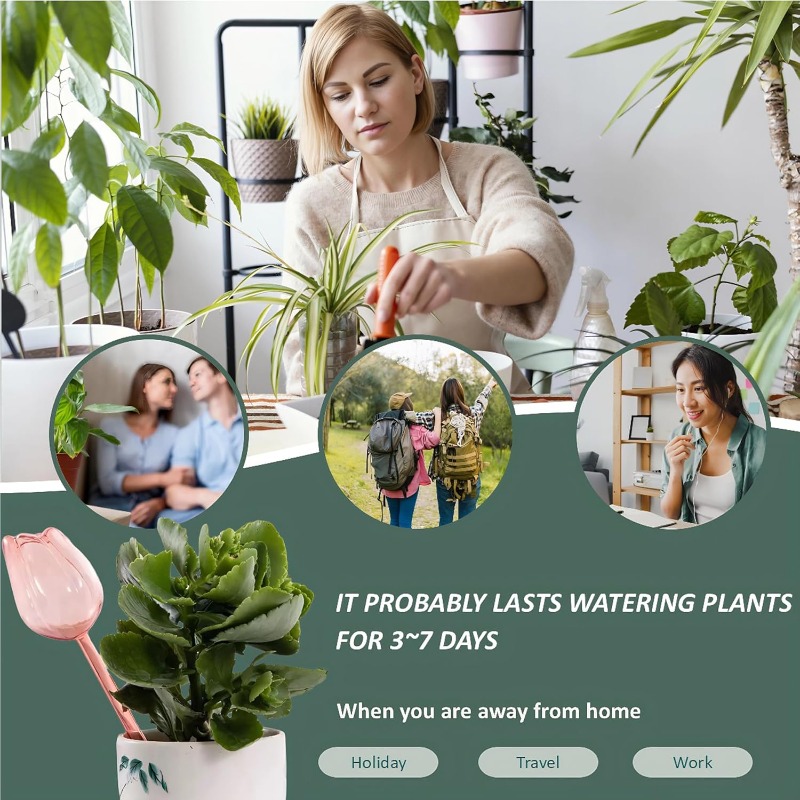 Bola Penyiram Tanaman Tulip Me - Plant Sensor ulasan dan harga