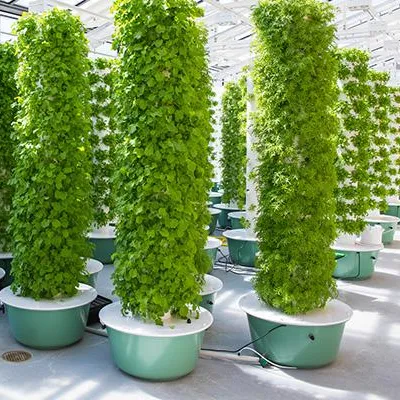 Sistem Kebun Menara Aeroponik  - Hydroponic Tower ulasan dan harga
