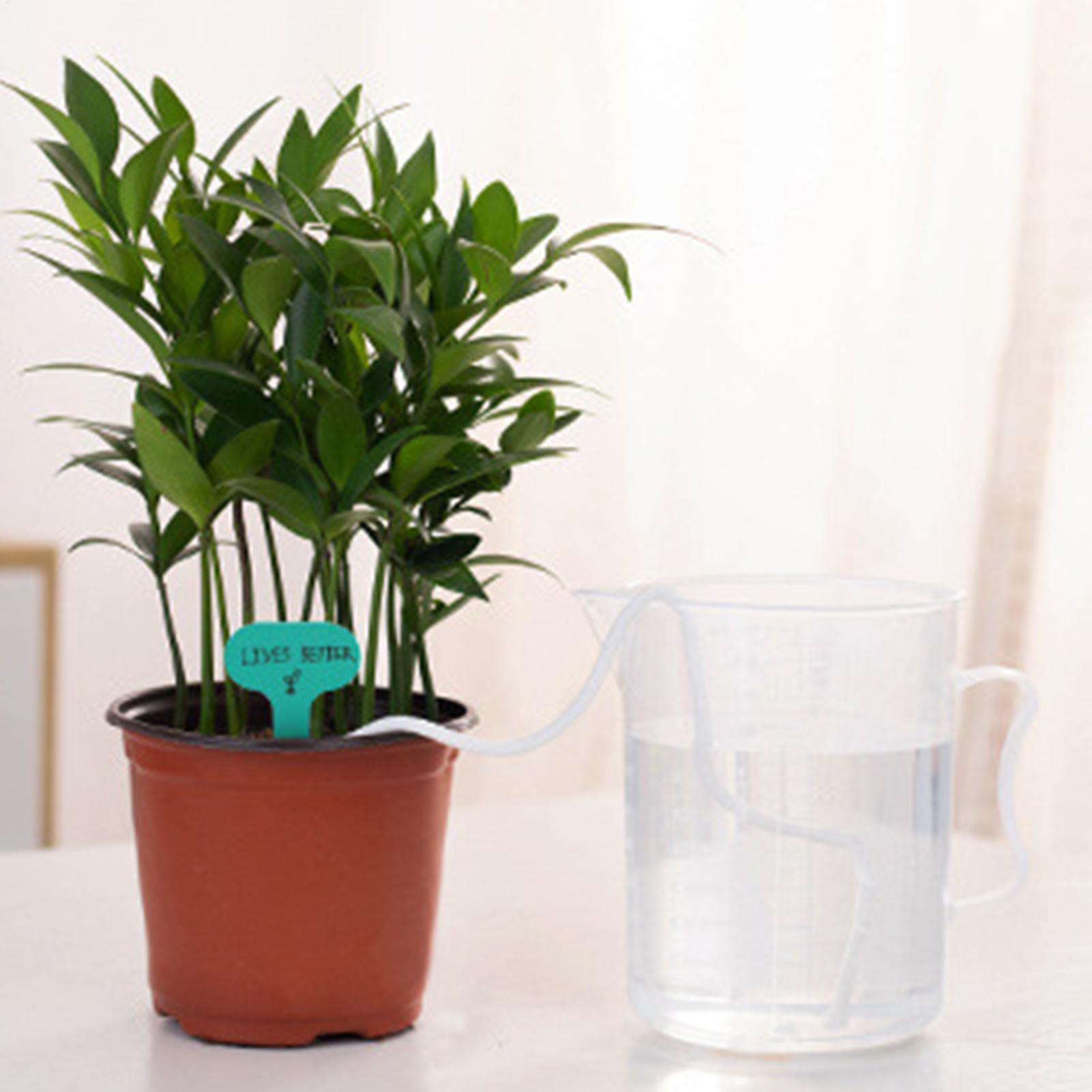 Tali Penyiraman Otomatis 2-Pie - Self Watering Planter ulasan dan harga