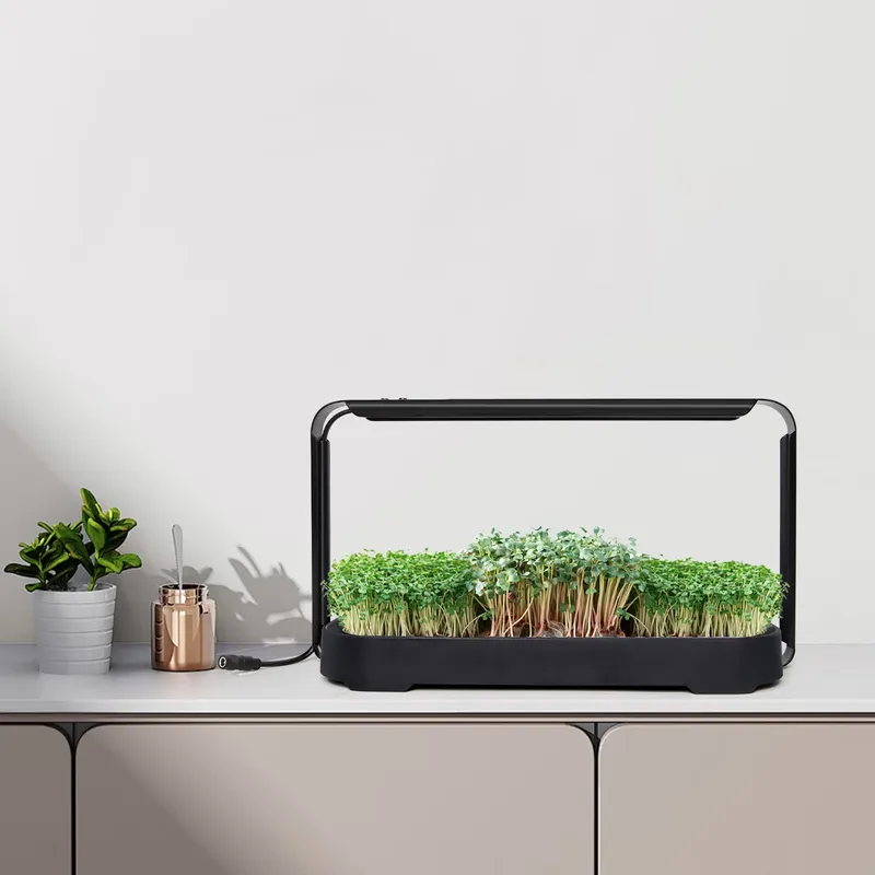 Sistem Penanaman Hidroponik Mi - Indoor Garden Kit ulasan dan harga