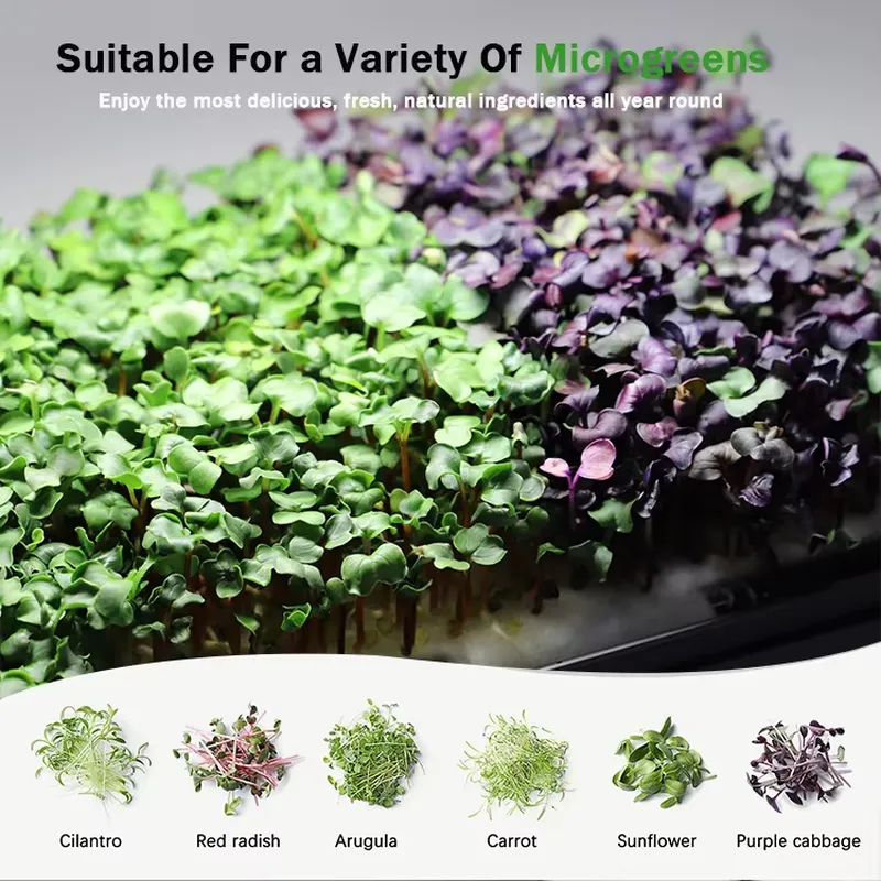 Sistem Penanaman Hidroponik Mi - Indoor Garden Kit ulasan dan harga