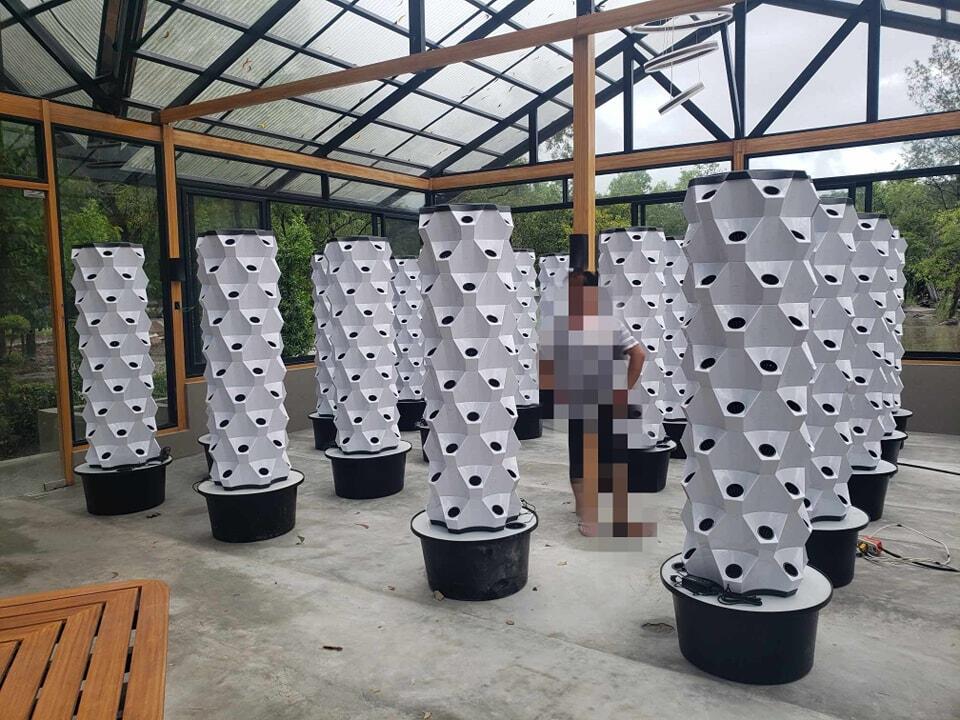 Sistem Hidroponik Vertikal unt - Hydroponic Tower ulasan dan harga