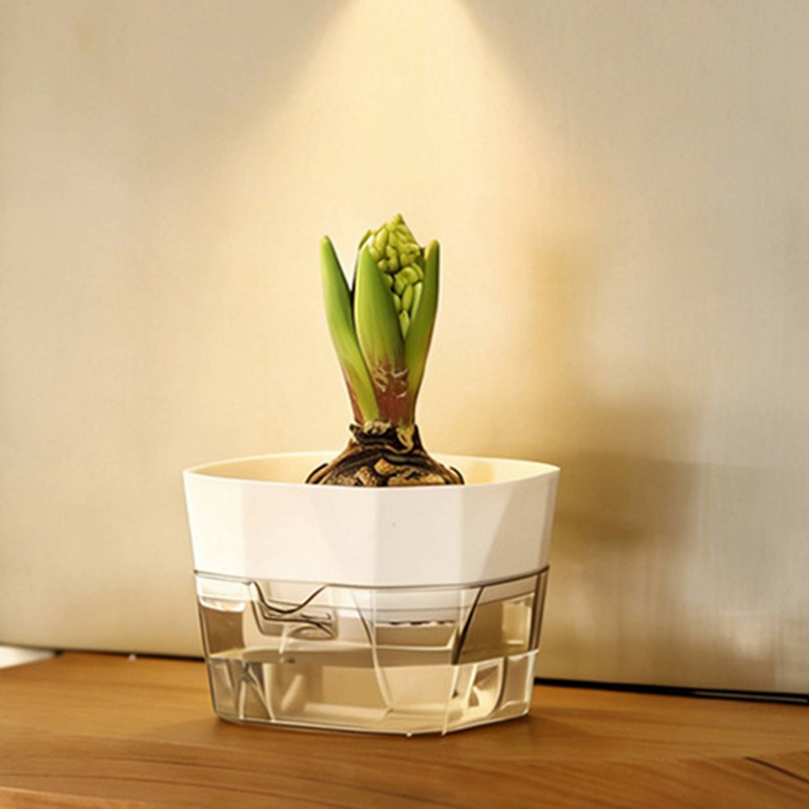 Vas Bunga Hidroponik Desain 2  - Automatic Watering ulasan dan harga