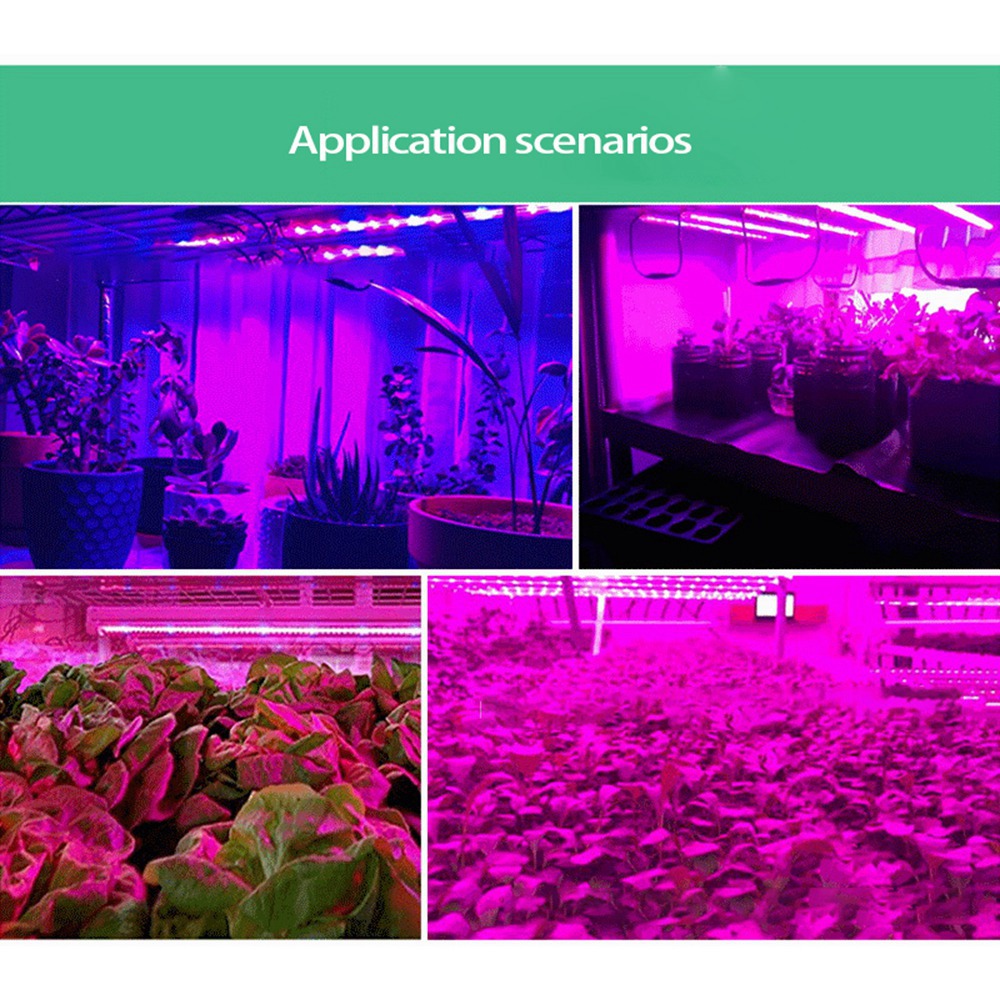 Lampu Tanaman ABUH-5V 5 Meter, - Plant Grow Light Full Spectrum ulasan dan harga