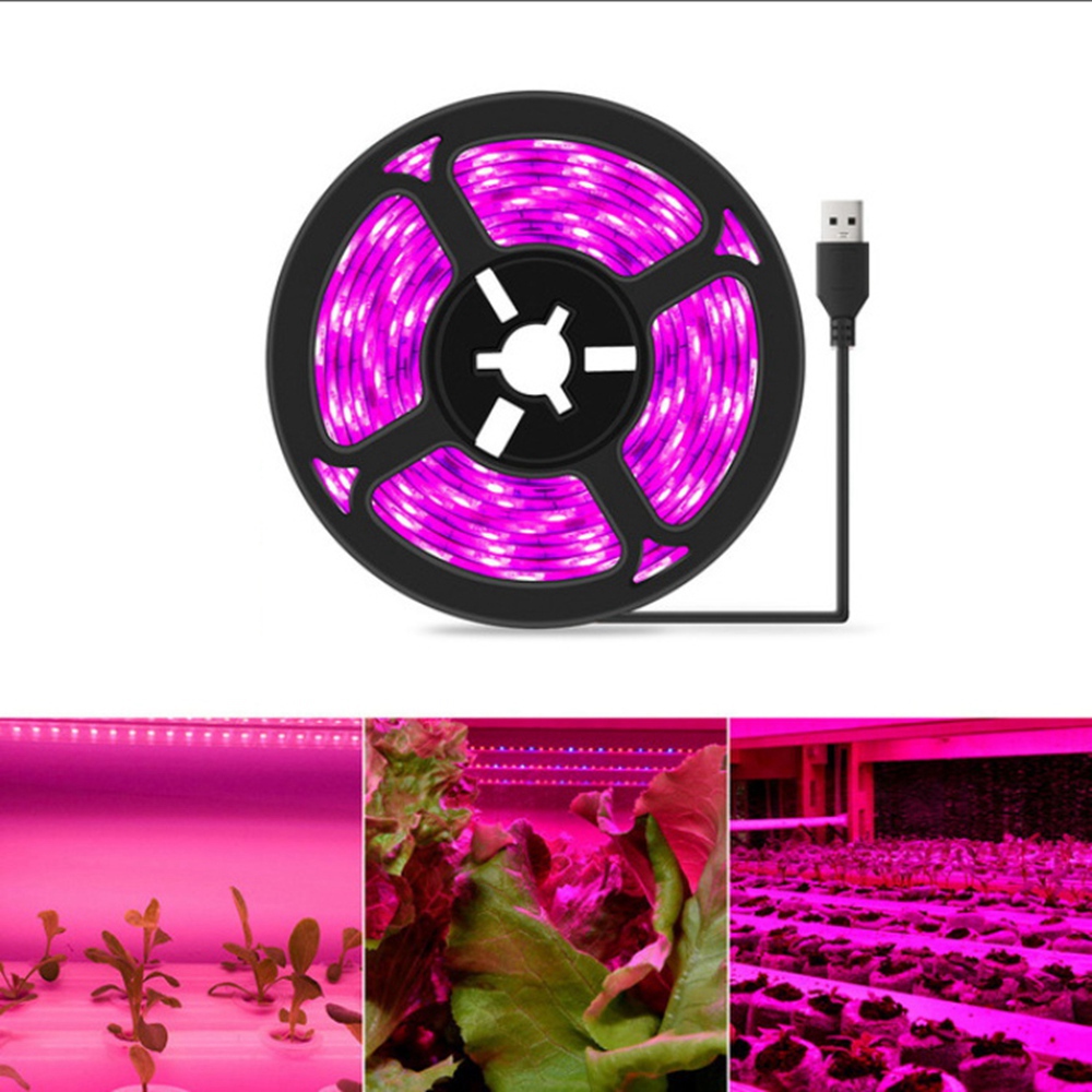 Lampu Tanaman ABUH-5V 5 Meter, - Plant Grow Light Full Spectrum ulasan dan harga
