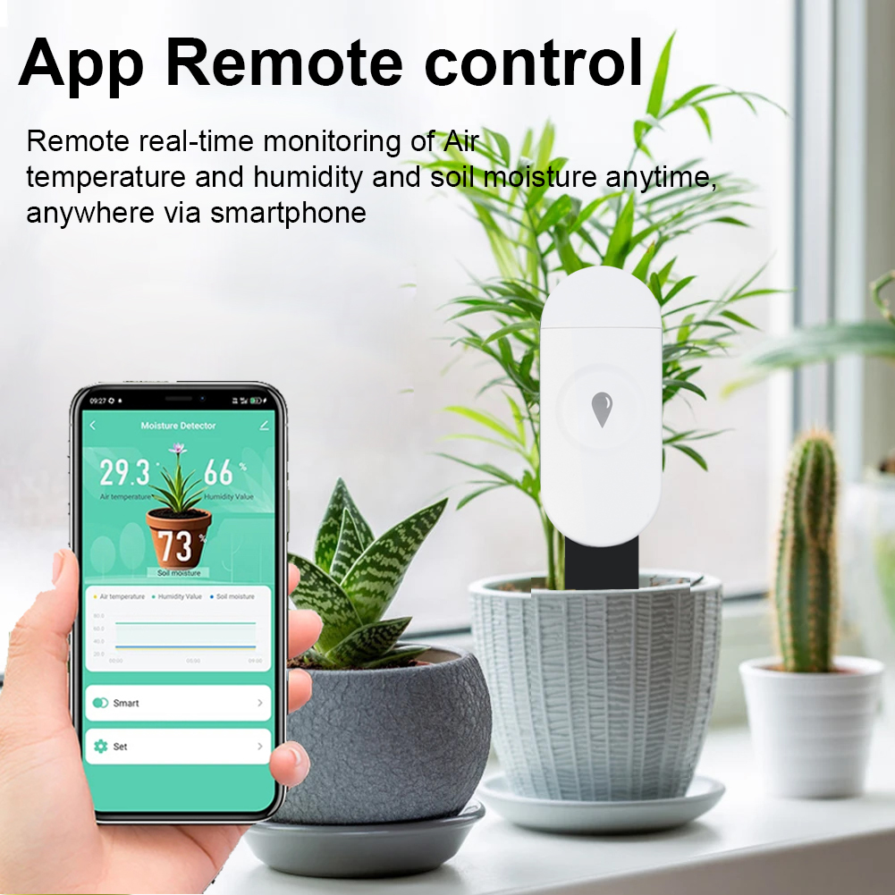 Tuya Zigbee Detektor Kelembapa - Garden Camera ulasan dan harga