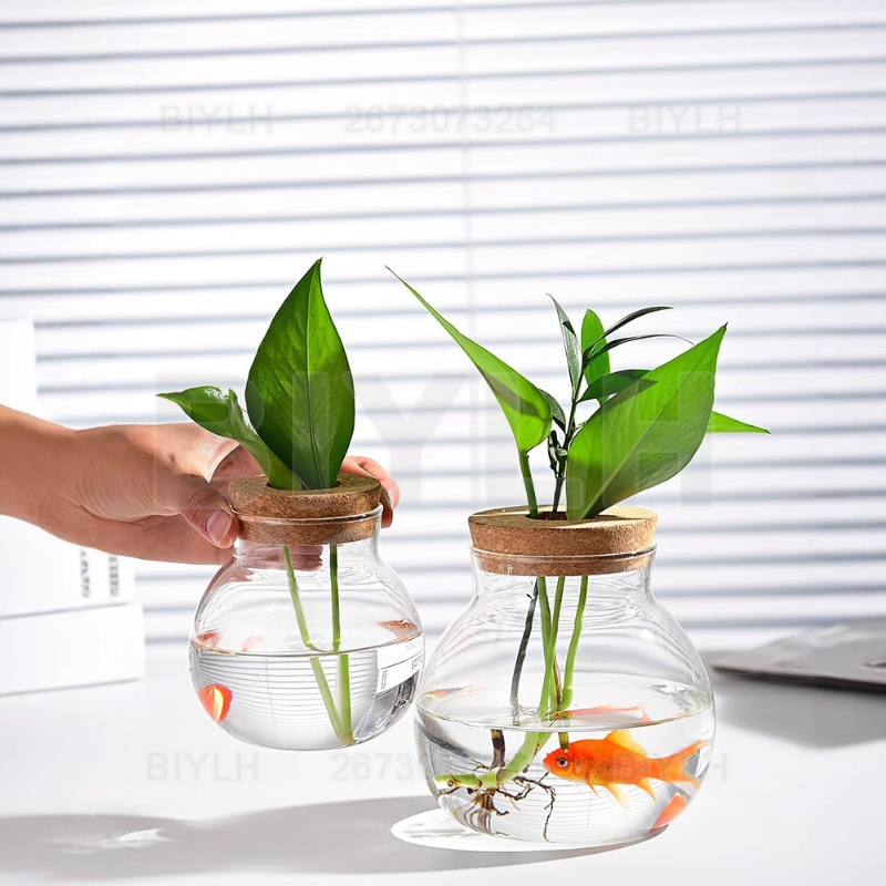 Vas Kaca Tanaman Hidroponik de - Hydroponic Grow Pod ulasan dan harga