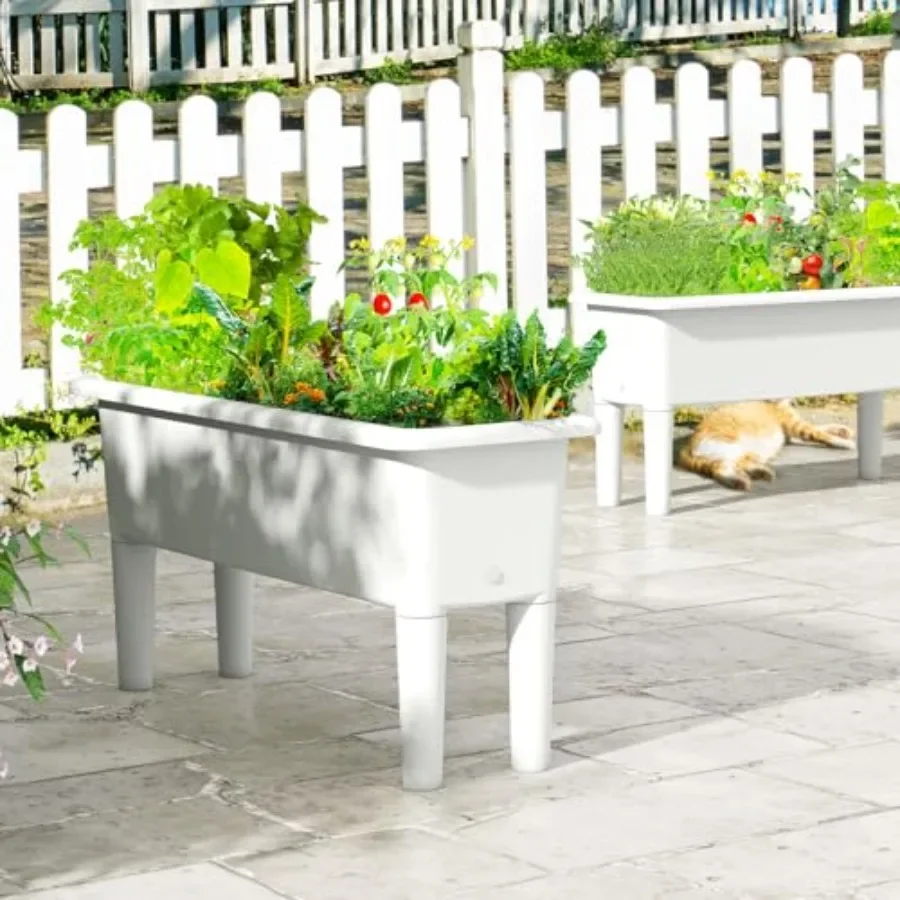 Set 2 Pot Tanaman Tinggi untuk - Self Watering Planter ulasan dan harga