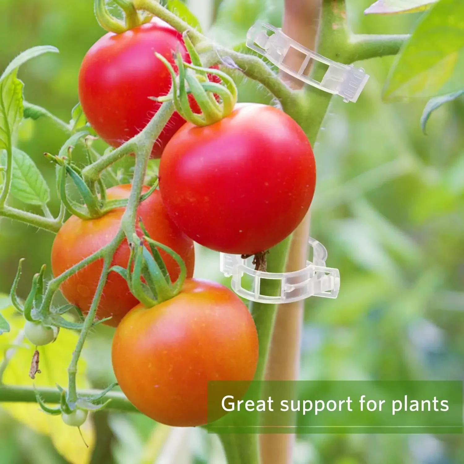 Klip Penyangga Tanaman Plastik - Smart Garden Kit ulasan dan harga