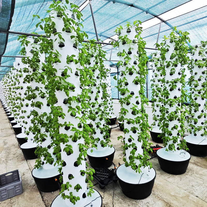 Sistem Menanam Hidroponik Vert - Hydroponic Tower ulasan dan harga