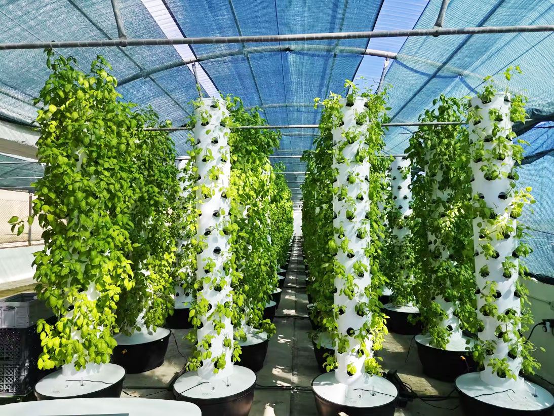Sistem Menanam Hidroponik Vert - Hydroponic Tower ulasan dan harga