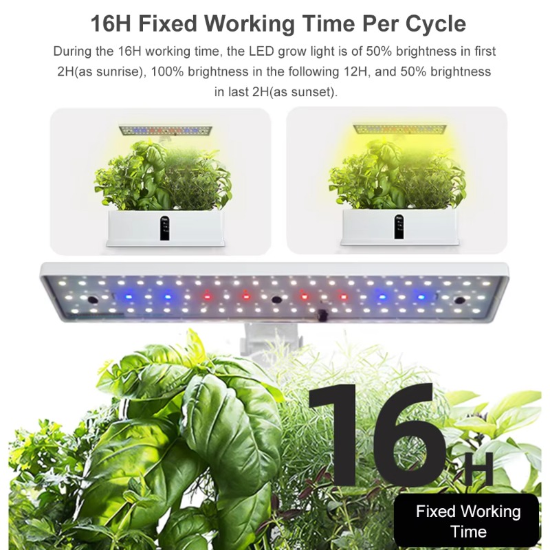Sistem Penanaman Hidroponik Pi - Hydroponic Grow Pod ulasan dan harga