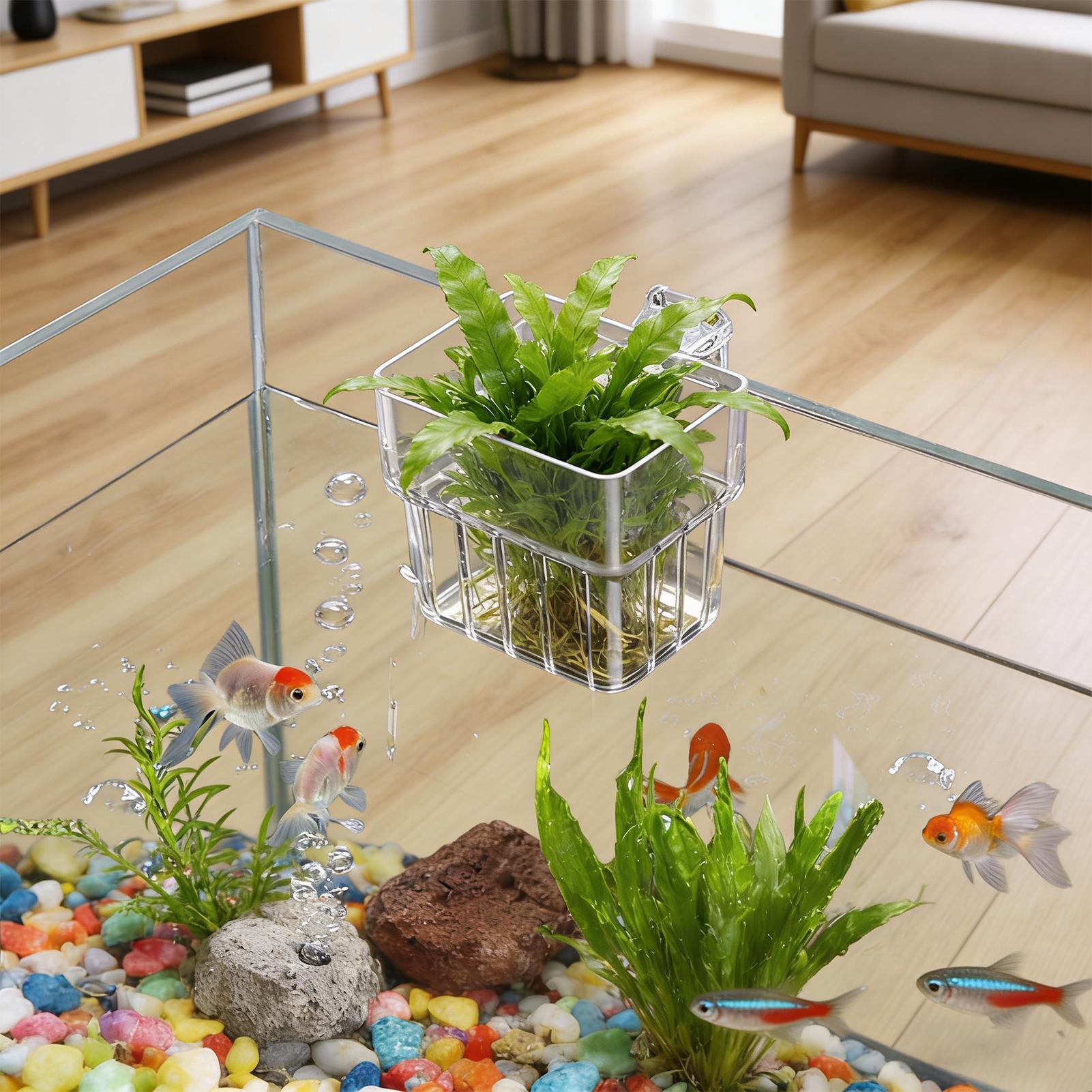 Pot Tanaman Akuarium Transpara - Hydroponic Grow Pod ulasan dan harga
