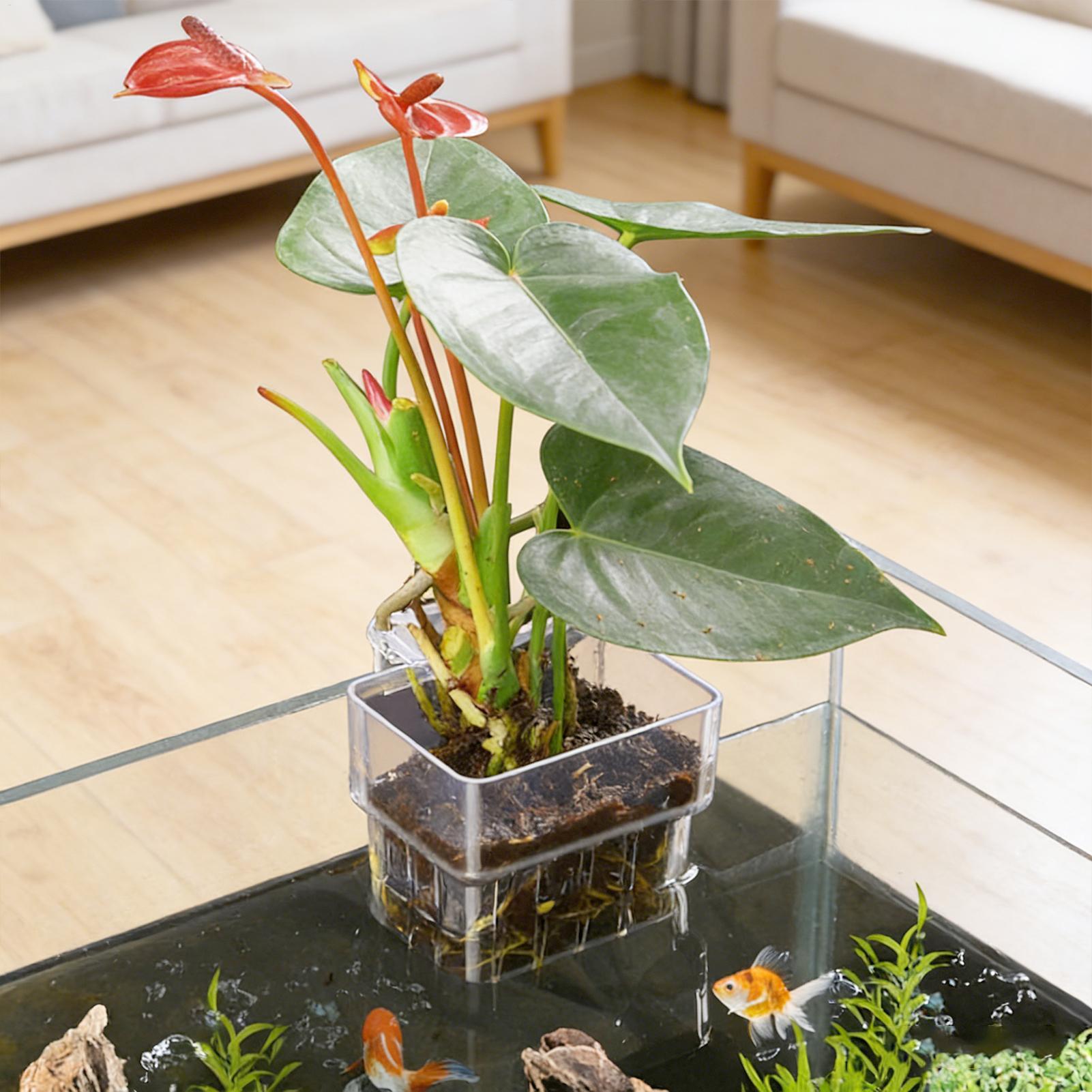 Pot Tanaman Akuarium Transpara - Hydroponic Grow Pod ulasan dan harga