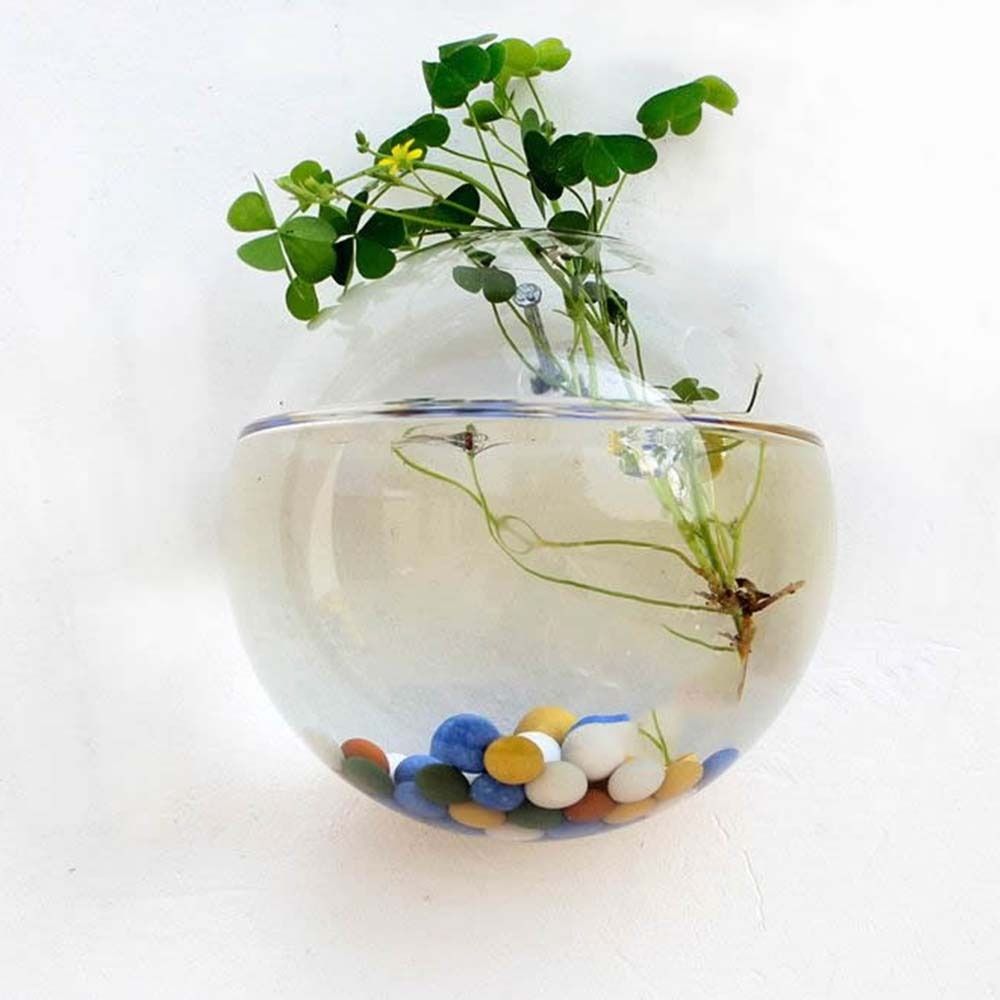 Vas kaca transparan gantung di - Hydroponic Grow Pod ulasan dan harga