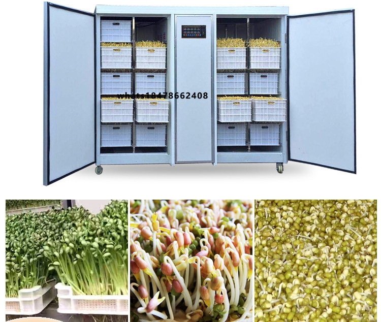 Mesin Budidaya Multi-Sprout Ca - Automatic Watering ulasan dan harga