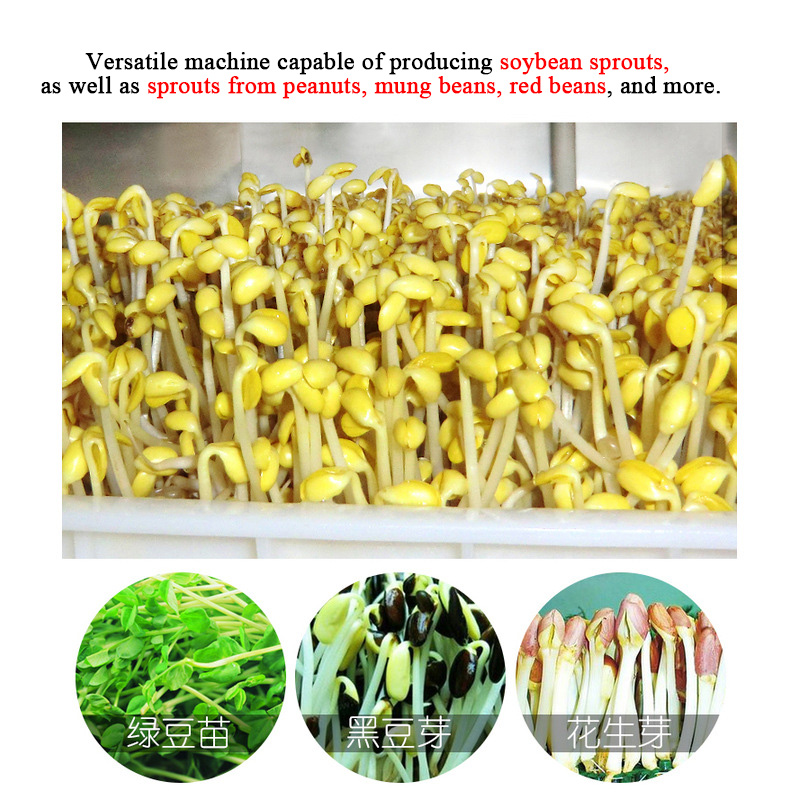 Mesin Budidaya Multi-Sprout Ca - Automatic Watering ulasan dan harga