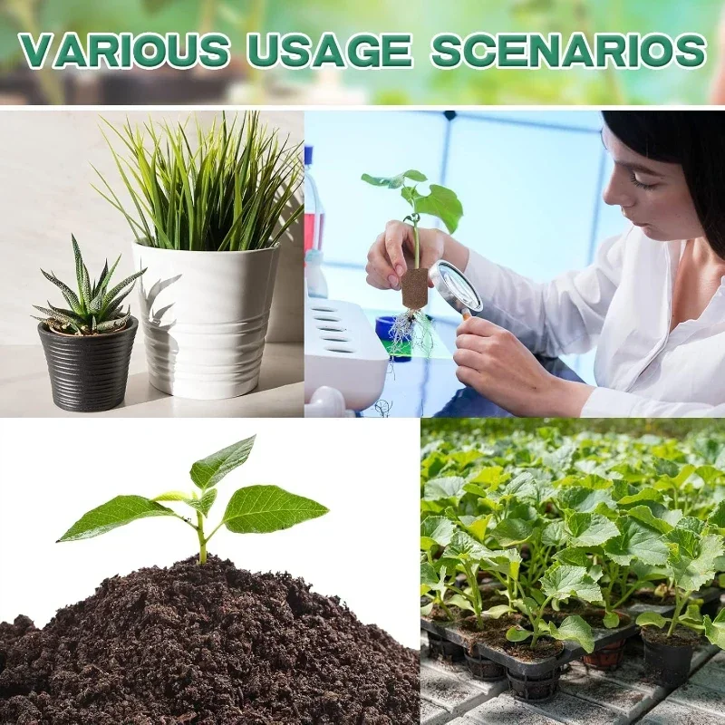 Kit Spons Pemula Bibit untuk S - Indoor Garden Kit ulasan dan harga