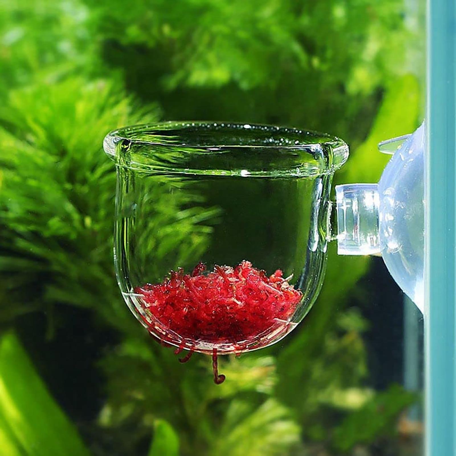 Pot Tanaman Air Akrilik Bening - Hydroponic Grow Pod ulasan dan harga