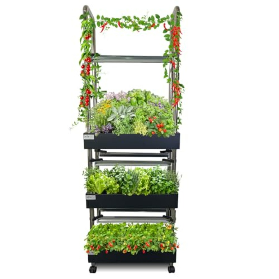 Sistem hidroponik dalam ruanga - Smart Garden System ulasan dan harga
