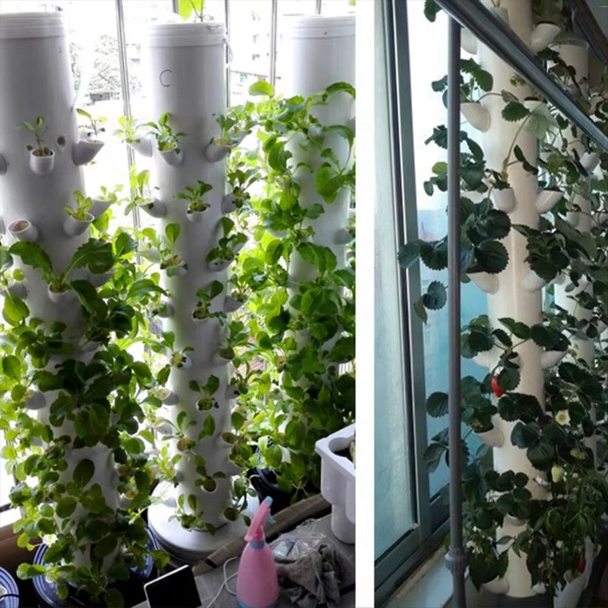 Wadah Tanaman Hidroponik Verti - Hydroponic Tower ulasan dan harga