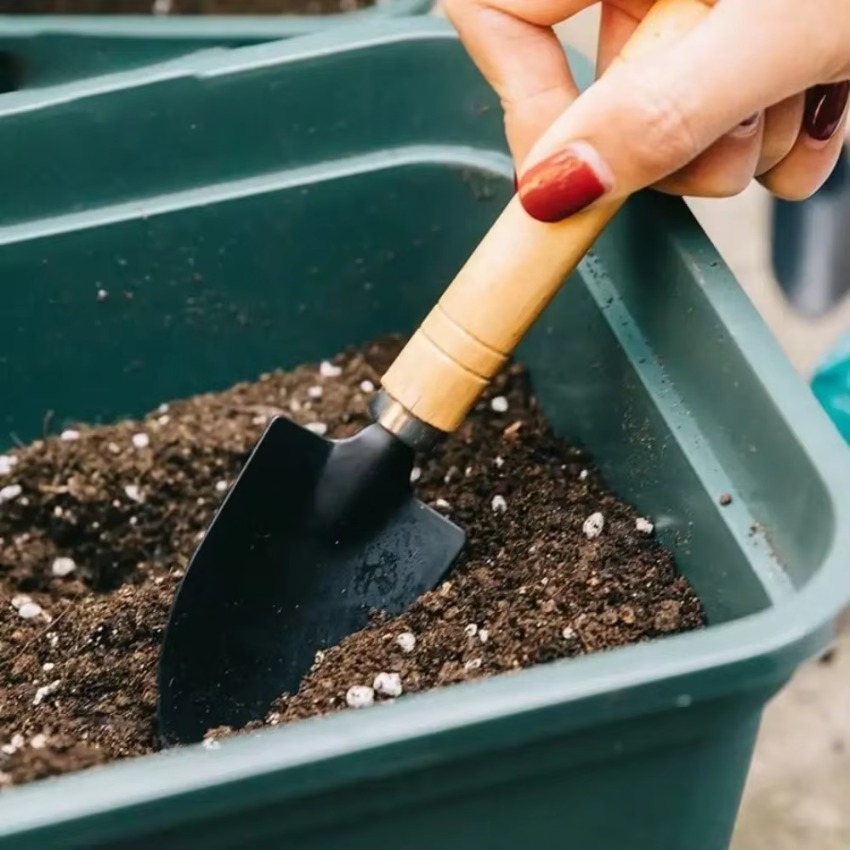 3 Buah/Set Peralatan Berkebun  - Indoor Garden Kit ulasan dan harga