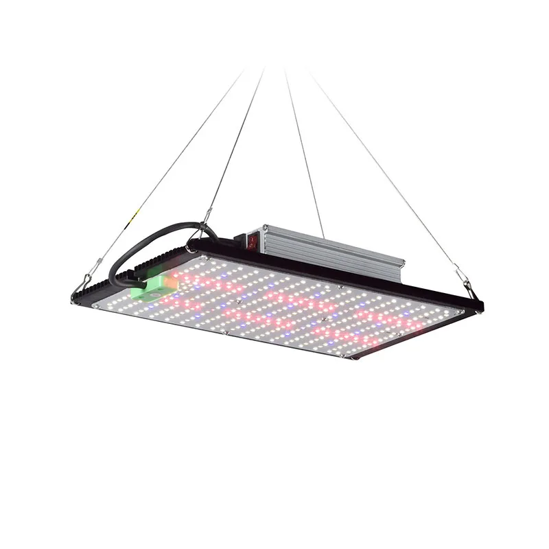 Lampu LED Quantum-Board untuk  - Grow Light Led ulasan dan harga