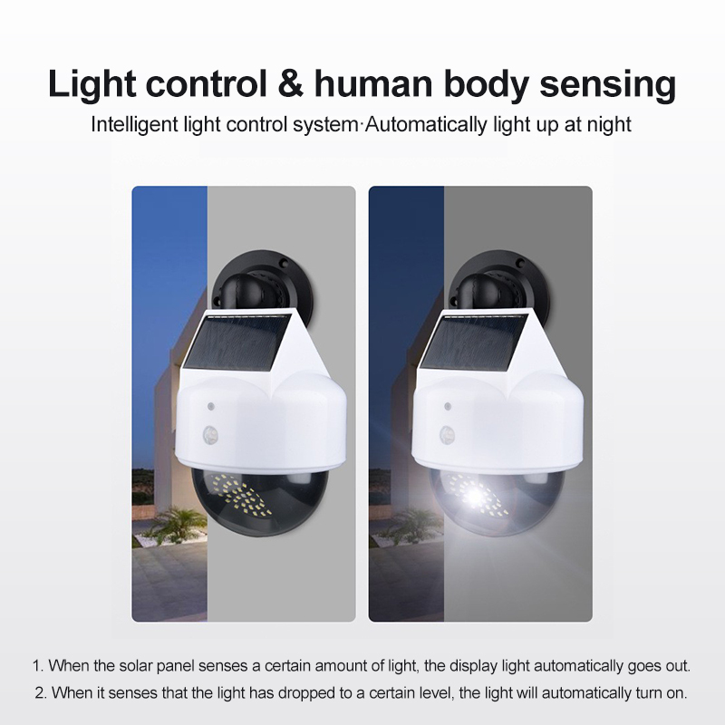 Kamera Virtual Sensor gerakan, - Garden Camera ulasan dan harga