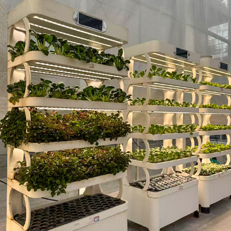 Pot Tanaman Dalam Ruangan Cerd - Smart Garden System ulasan dan harga
