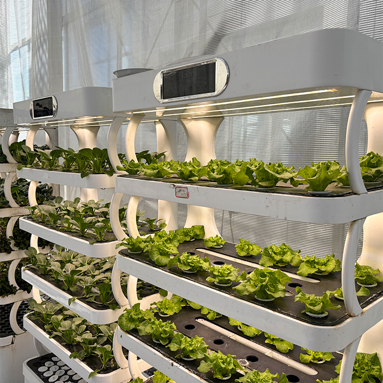 Pot Tanaman Dalam Ruangan Cerd - Smart Garden System ulasan dan harga